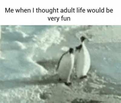 It's insane