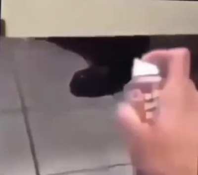 Toilet prank