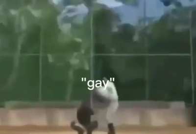 Roblox Gay Bans