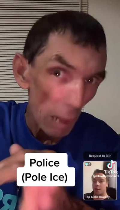Pole Ice