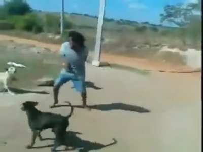 Mis perros y yo cuando se cai una milanesa al piso
