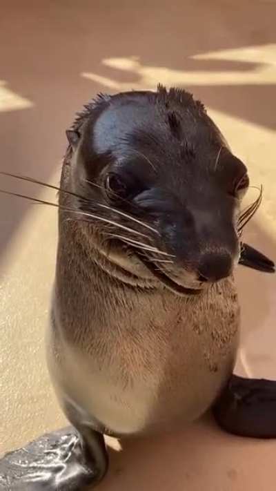 😐😡😬😛