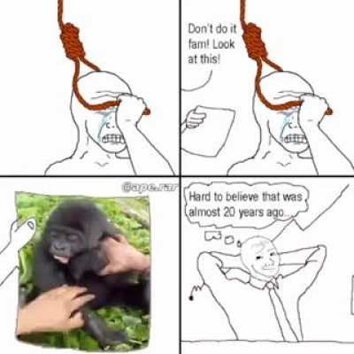 Monke :D