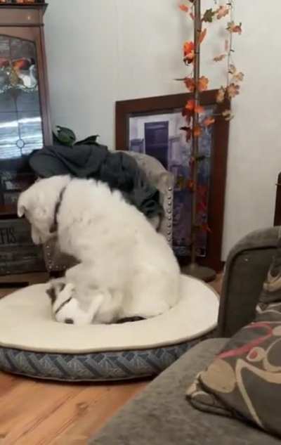 &ldquo;Are you going to do something about this?&rdquo; - Both