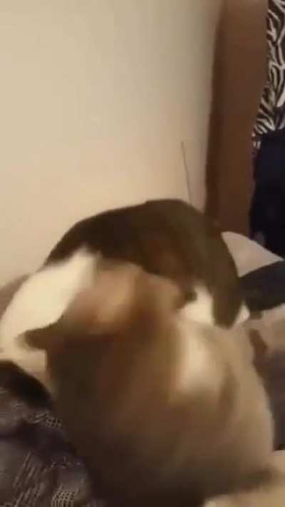 Let me get a taste of that ass!