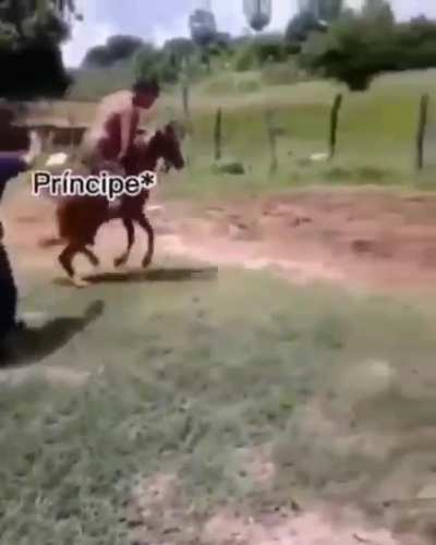 Clash royale be like