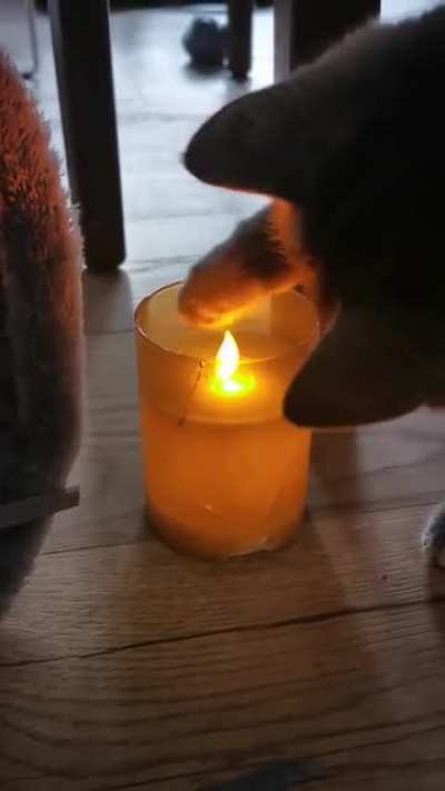 While I eat this flame... So I can vomit fire on the carpet and call myself a dragon!
