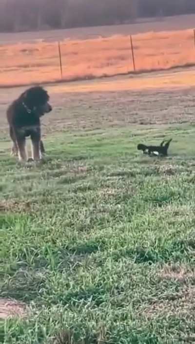 Here&rsquo;s your daily dose of cuteness