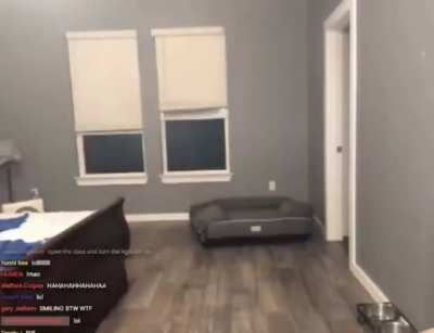 Bro