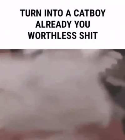 Hurry up worthless fucking cat 🤬👎