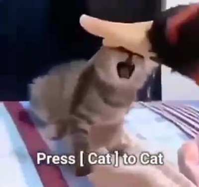 [wunk]