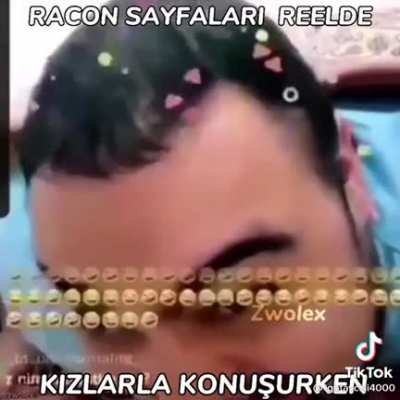 racoon