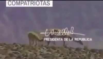 Creepypasta Chileno - Contingencia