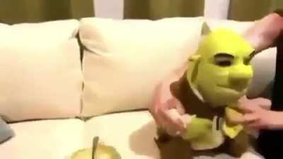 Shrek has diarrhea