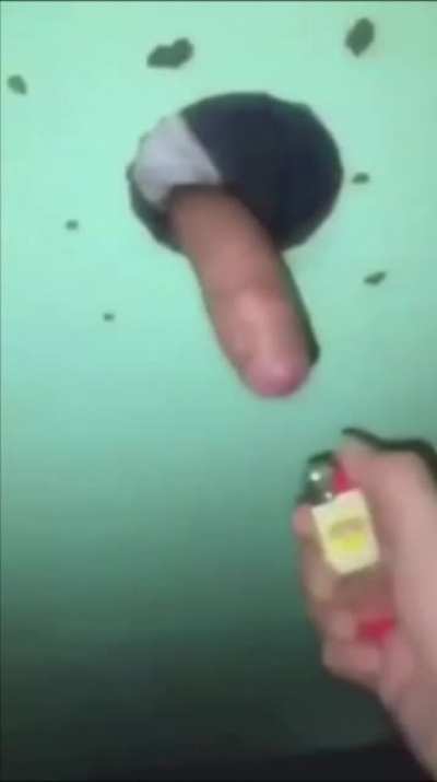 WARNING: penis