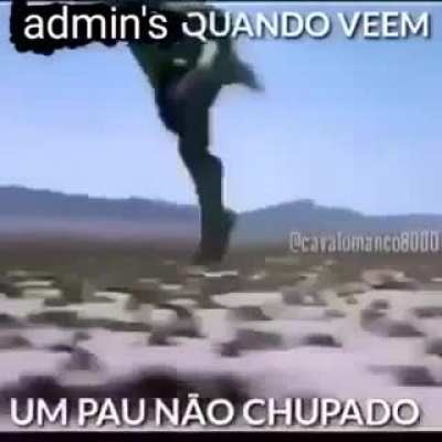 PedroDBR - Video #9257