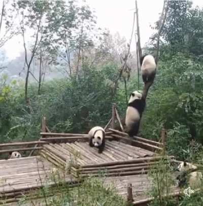 Awww 😂