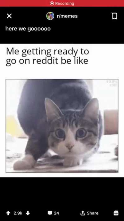 Hope jj sees this