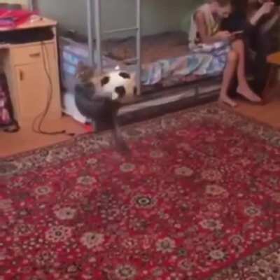 Smooth kick