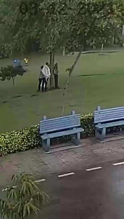 There is a very good reason they tell you not to stand under trees in a storm.