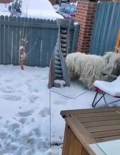 It's a snow mop