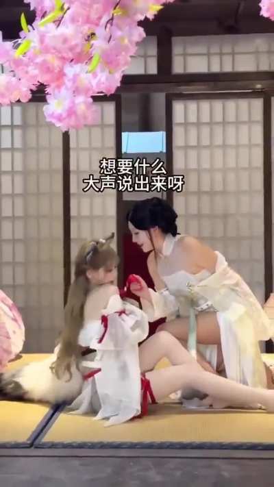 还是集美有节目效果