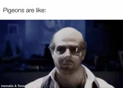 they make the most horrifying sex noises.