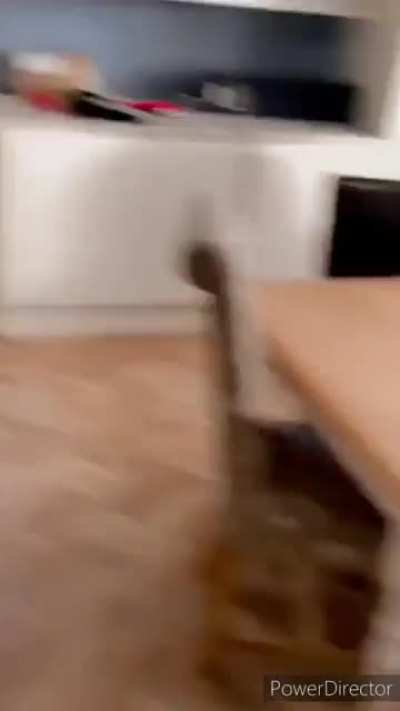 Venha para a festa louca de dem&ocirc;nio, HOJE AS 03:33 da manh&atilde;!