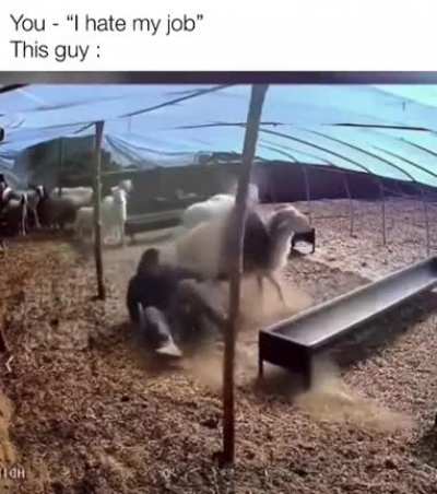 This guy