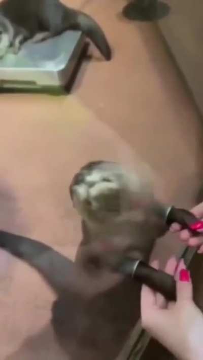I wanna hold your hand 🎶🎵🎶🎵