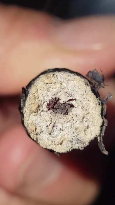 1g of Watermelon Pines, 1g of Peyton&rsquo;s Strawberries, and .5g of fresh frozen Paradise OG hashish in the middle. Tastes like a vanilla watermelon and strawberry pastry/cookie. Anyone enjoy smoking hash holes?