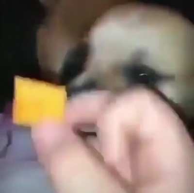 Cheese-It foo&rsquo;
