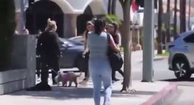 Lady freaks out after being called out for dragging her dogs.