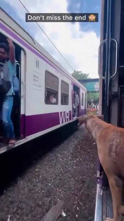 Mumbaikar knows how to get down from Train