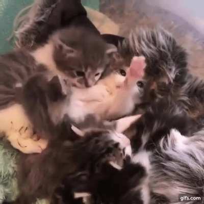 Siblings cuddle