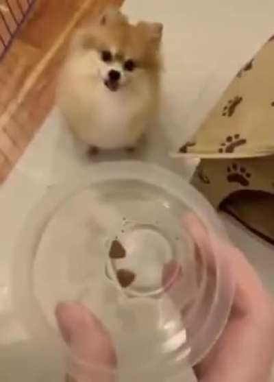 WCGW Putting A Dog On A Diet
