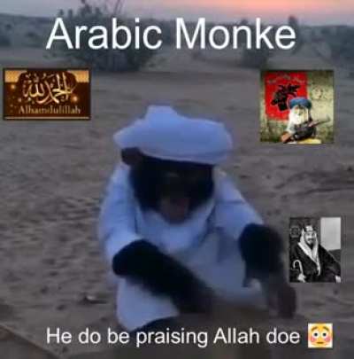 Arabic Monke in da desert