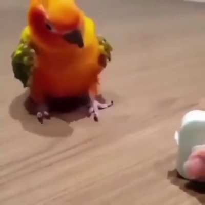 '-'