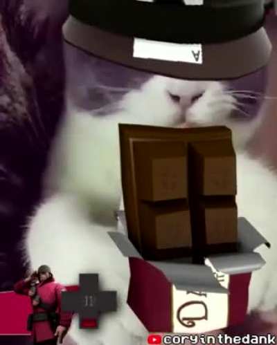 tf2 cat