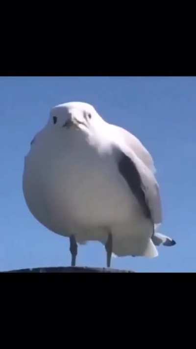 Interesting title
