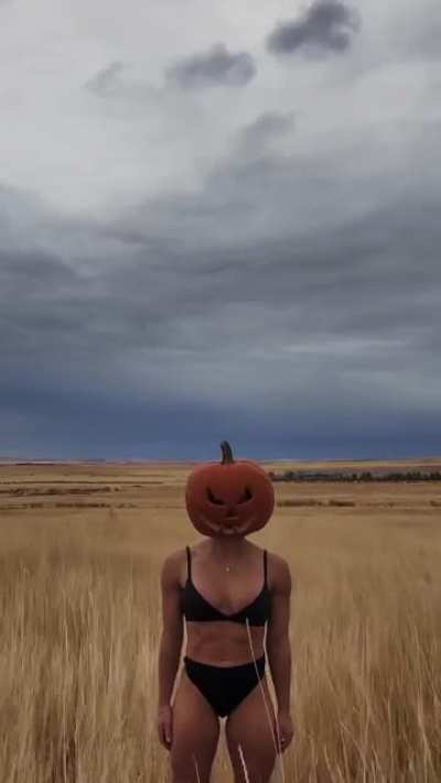 pumpkin