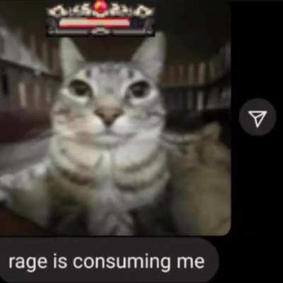 "Rage is consuming me"