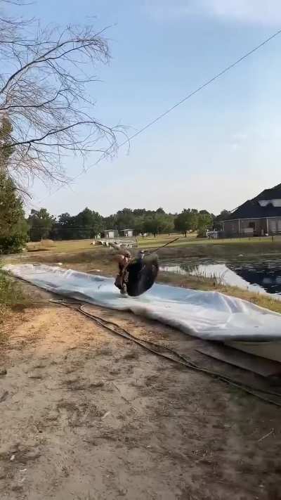Perfectly Cut Scream