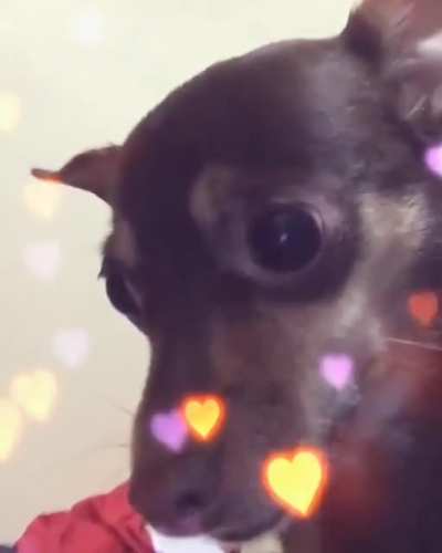 Maybe maybe maybe