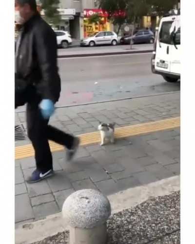 Get zis, hooman!