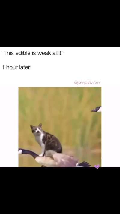 M dis high rn