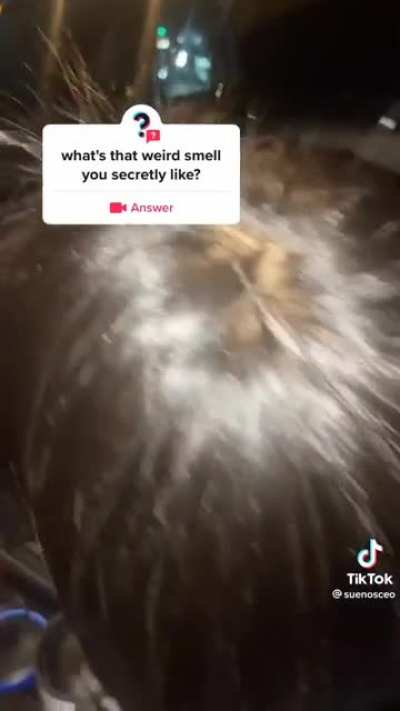 what does it smell like I wonder