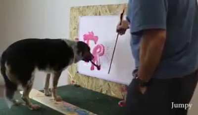 Dog can write