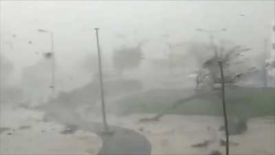 This is Climate Change (Content Warning)