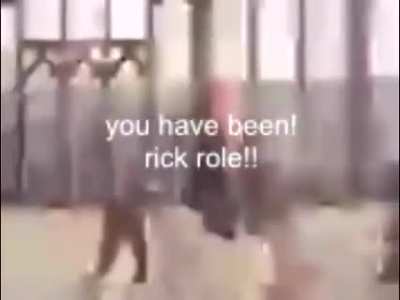 Pls don't upvote this